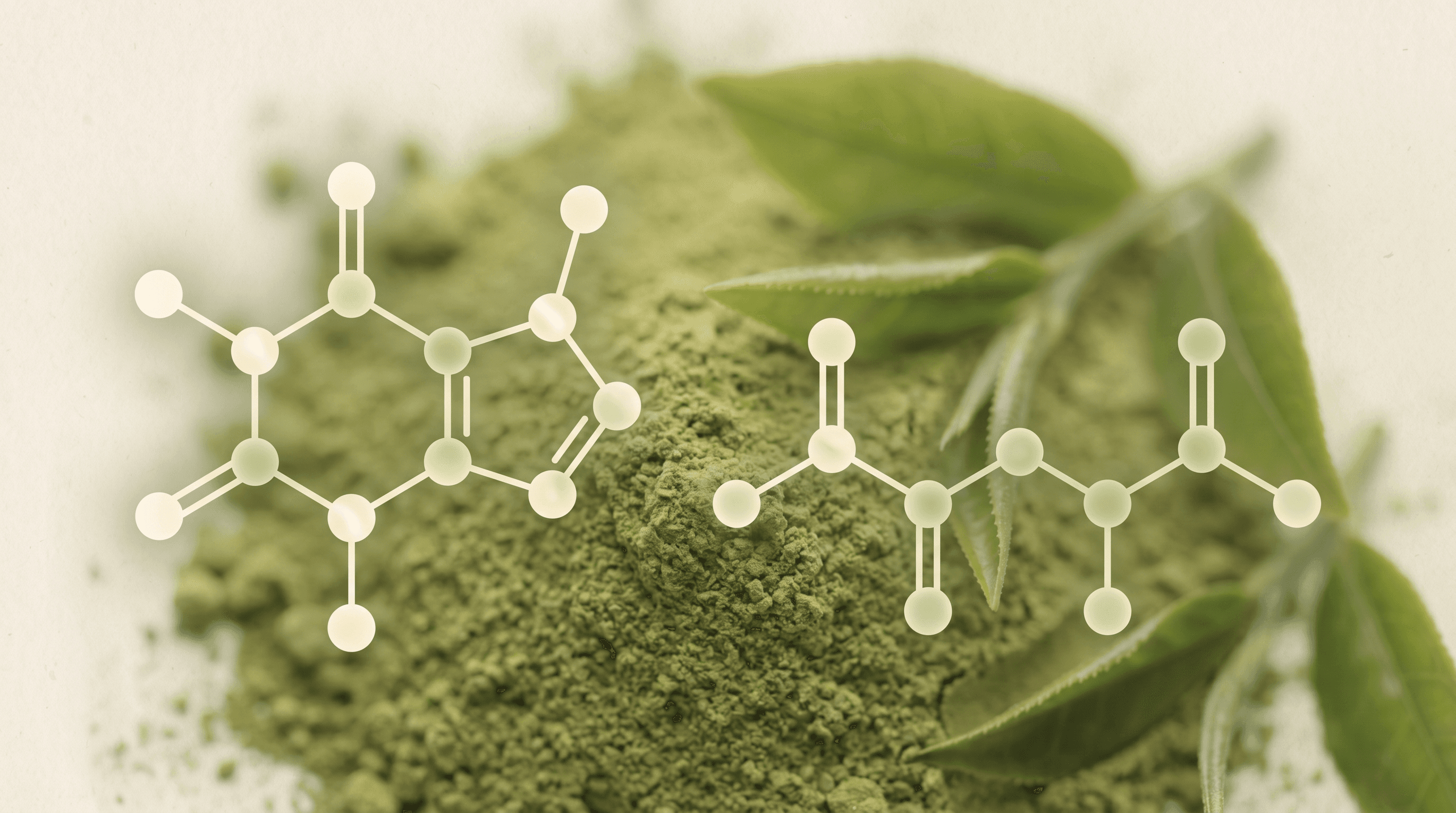 Does Matcha Have Caffeine? Here's Exactly How Much